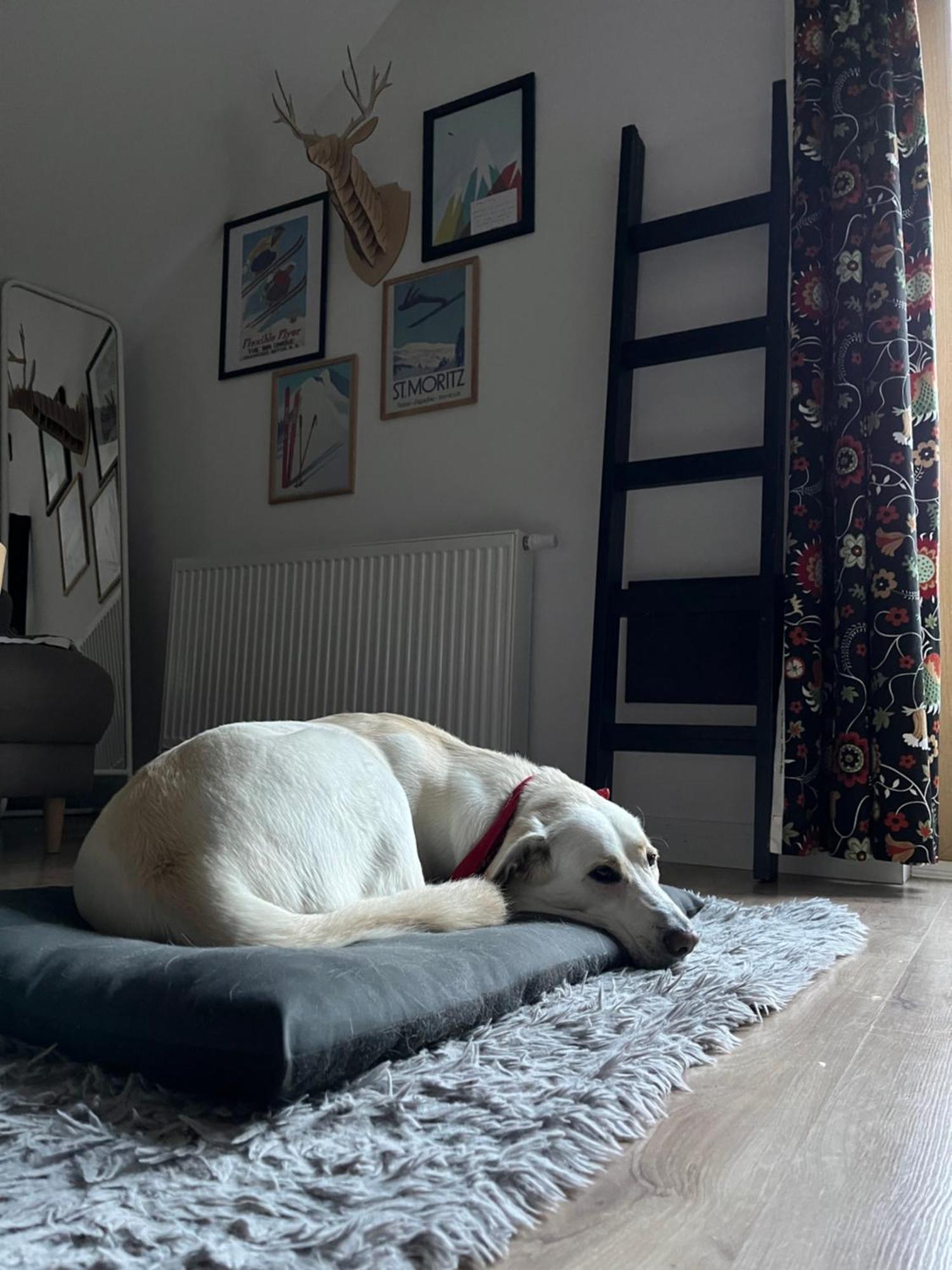 Apartament Folkowe Podgorze Szklarska Poręba Kültér fotó
